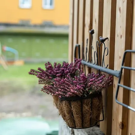 Garden Next To Telliskivi & Old Town Lägenhet *